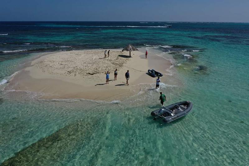 Book yachts online - catamaran - Lagoon 560 S2 - Taipan - rent