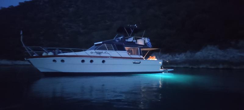 Book yachts online - motorboat - Posillipo Martinica 42 TS - Dim - rent