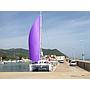 Book yachts online - catamaran - Lagoon 450 - Delicia - rent