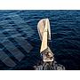 Book yachts online - sailboat - Pogo 30 - Meridio - rent