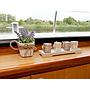 Book yachts online - motorboat - Pacific Allure 155 - Royal - rent