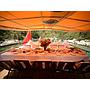 Book yachts online - other - Gulet- Cheers - Cheers - rent