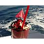 Book yachts online - other - Gulet - Mala Kate - rent