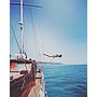 Book yachts online - other - Gulet - Sherezade - rent