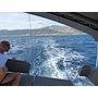 Book yachts online - sailboat - Dufour 470 - BALU - rent