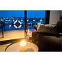 Book yachts online - False - Campi 400 - Bella donna III - rent