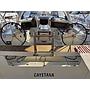 Cayetana